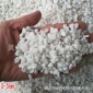 河北石家庄厂家园艺白石子景观白色鹅卵石白色水洗石子白石米价格